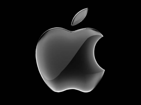 Steve Jobs takes home his annual $1 from Apple