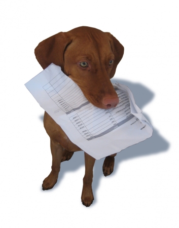 Kindle-ate-my-homework, is a lame excuse