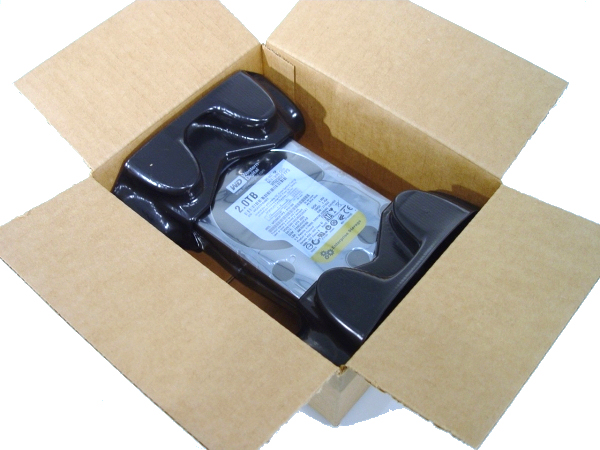 Western Digital RE4-GP 2TB Enterprise Hard Disk in RAID 0