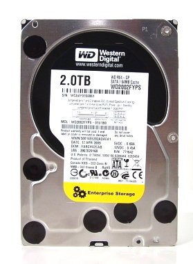 Western Digital RE4-GP 2TB Enterprise Hard Disk in RAID 0