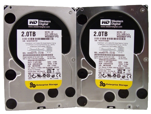 Western Digital RE4-GP 2TB Enterprise Hard Disk in RAID 0