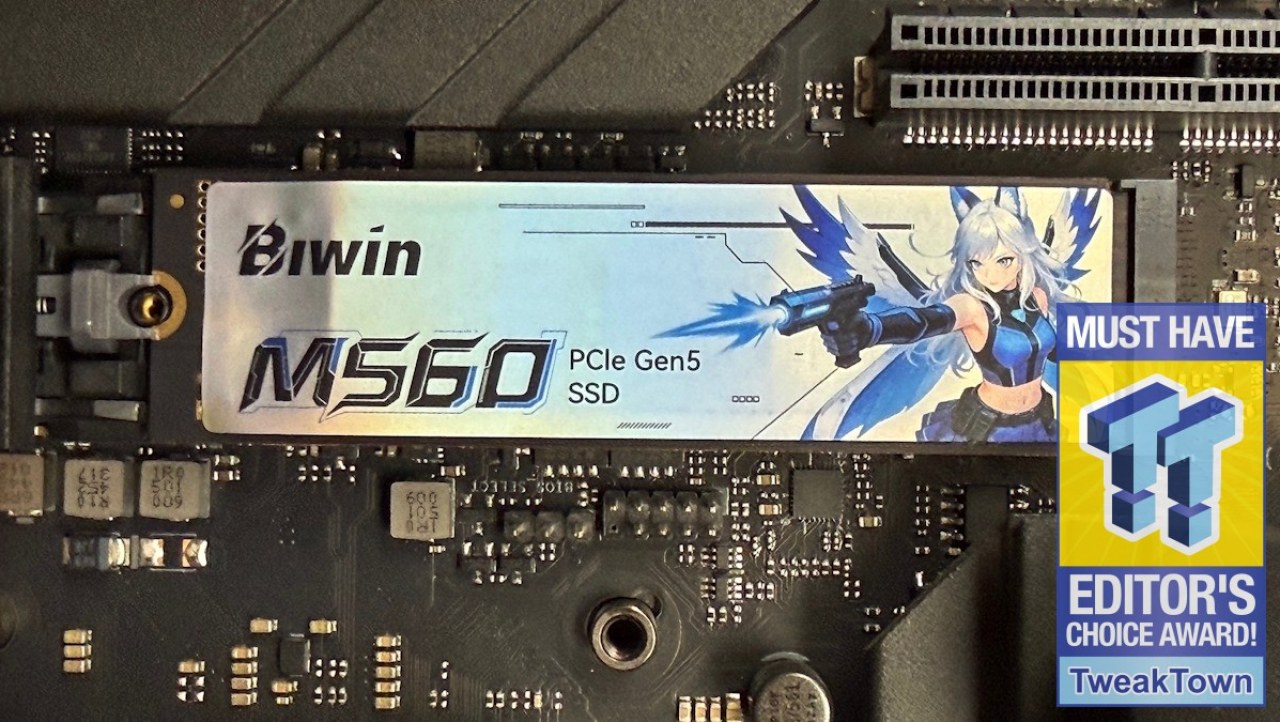 Biwin M560 2TB SSD Review - Best Overall Retail-Ready DRAMless SSD