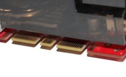 Gainward GeForce GTX 275 Graphics Card