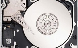 Seagate Savvio 10K.3 SAS 2.0 6Gb/s 300GB 2.5-inch Hard Disk