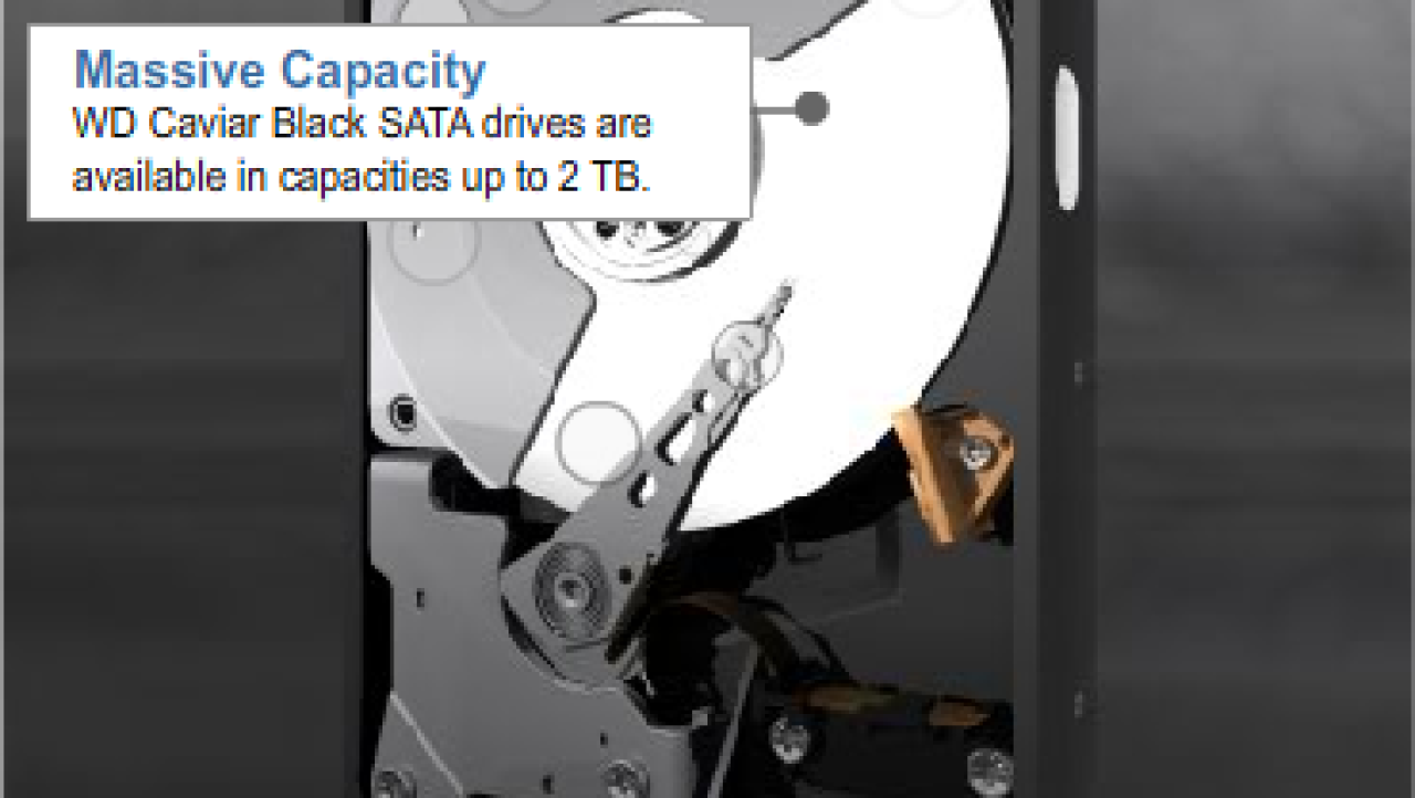 Western Digital Caviar Black 2TB Hard Disk