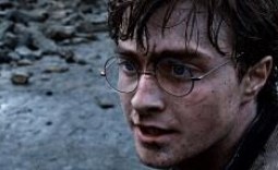 Harry Potter and the Deathly Hallows Part 2 Cinema Review