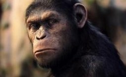 Rise of the Planet of the Apes Cinema Review