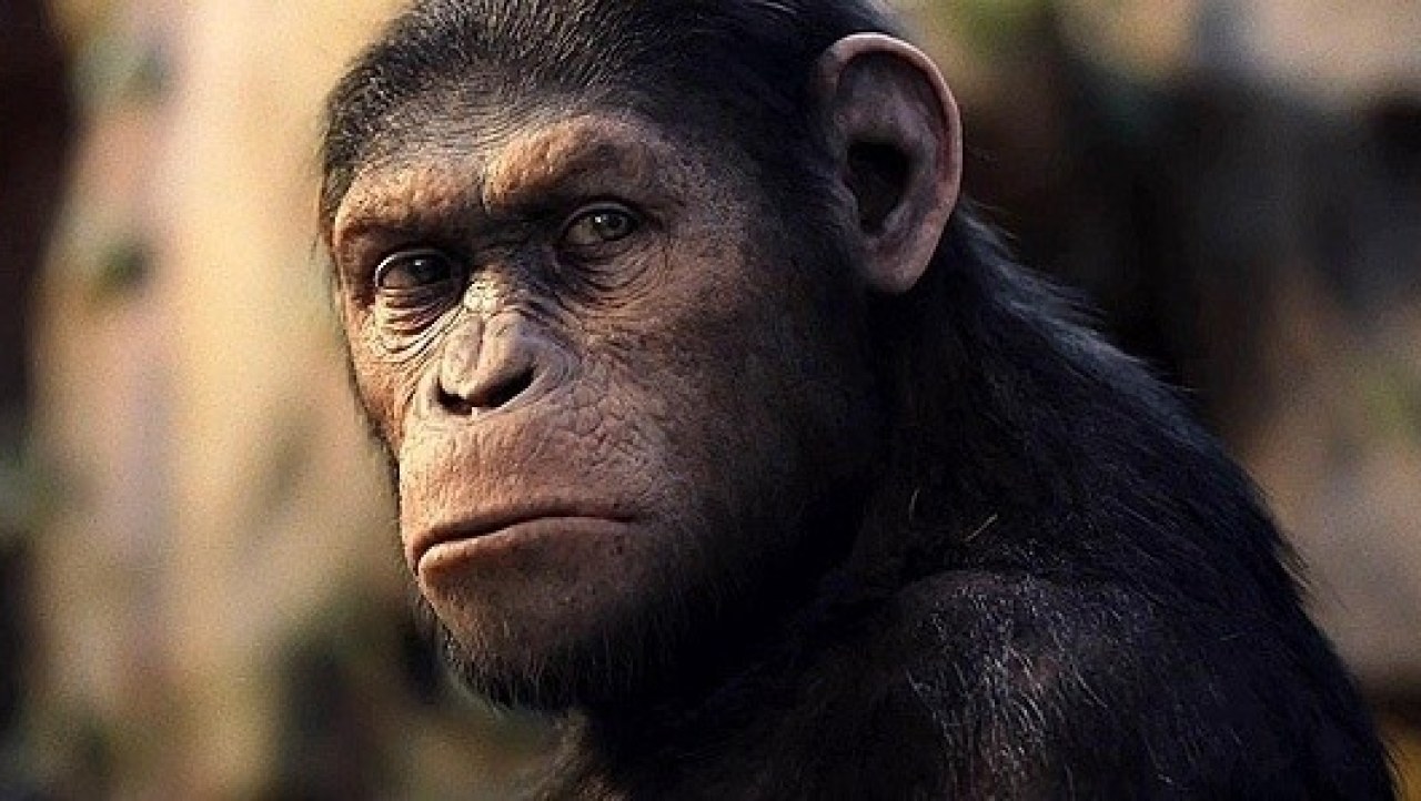 Rise of the Planet of the Apes Cinema Review