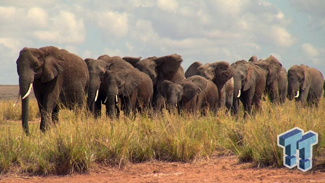BBC's Africa (2012) Blu-ray Review