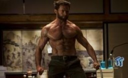 The Wolverine (2013) Cinema Review