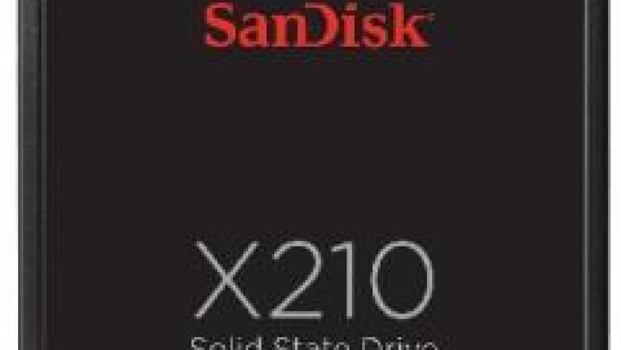 SanDisk X210 Business Class 256GB SSD Consumer Review