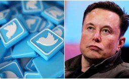 New York Times, Forbes 'bought Twitter followers', Elon Musk replies