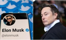 Elon Musk wants the SEC to figure out how many bots are on Twitter