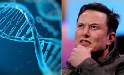 Elon Musk considers how to put all of humanity's DNA into storage