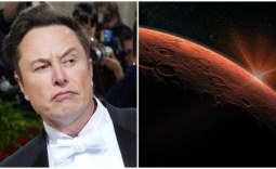 Elon Musk gives a deep reason why humans must transport life to Mars
