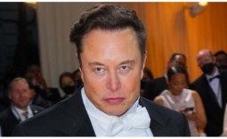 Elon Musk 'free speech absolutist' fires staff over criticizing letter