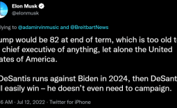 Elon Musk: DeSantis 'will easily win' against Biden if he runs in 2024