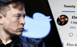 Elon Musk plans to drain the swamp at Twitter by firing most staff