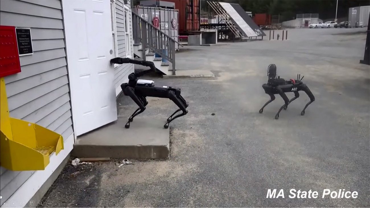 black robot dog
